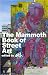 The Mammoth Book of Street Art (Mammoth Books)