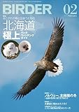 BIRDER 2014年 2月号 [雑誌]