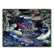 Koi - Box Set of 12 Greeting Cards and patterned envelopes