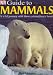 Mammals (DK Guides)