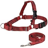 PetSafe Reflective Easy Walk Dog Harness, Small/Medium, Red/Black