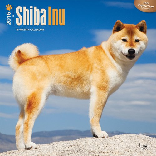 Shiba Inu 2016 Square 12x12