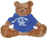 NCAA Kentucky Wildcats Hoodie Bear
