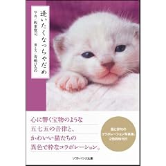 逢いたくなっちゃだめ (ソフトバンク文庫NF)