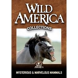 Mysterious & Marvelous Mammals Collection