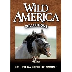 Mysterious & Marvelous Mammals Collection