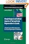 Morphological and Cellular Aspects of Tail and Limb Regeneration in Lizards: A Model System With Implications for Tissue Regeneration in Mammals (Advances in Anatomy, Embryology and Cell Biology)