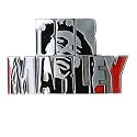 Bob Marley Belt Buckle