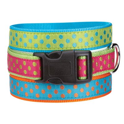 East Side Collection Nylon Polka Dot Dog Collar, 6-10-Inch, Orange