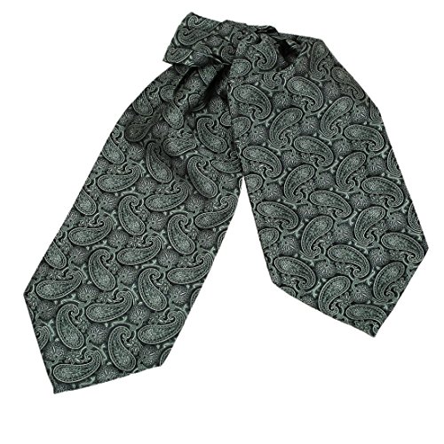 ERA1B04-06 Paisley Cravat Woven Microfiber Mens Ascot Perfect Design By Epoint