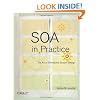 SOA in Practice: The Art of Distributed System Design (Theory in Practice)