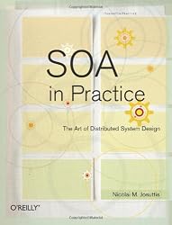 SOA in Practice: The Art of Distributed System Design (Theory in Practice)