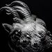 the GazettE, BEAUTIFUL DEFORMITY, 発売中