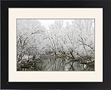 Framed Prints of Willow Trees - along river covered in frost from Ardea Wildlife Pets
