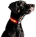 ILLUMISEEN LED Dog Collar USB Rechargeable - Bright & High Visibility Lighted Glow Collar for Pet Night Walking -Weatherproof, in 6 Colors & 6 Sizes (Pink Large)