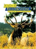WildLife@Yellowstone: The Story Behind the Scenery