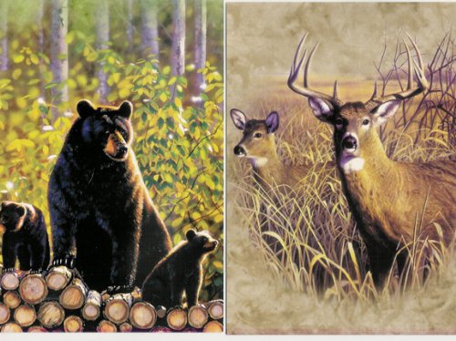 BACK TO NATURE GREETING CARD ASSORTMENT On Sale
