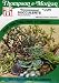 Thompson & Morgan 2089 Succulents At Its Best (Mixed Varieties) Seed Packet