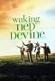 Waking Ned Devine