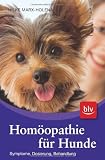 Homöopathie für Hunde: Symptome, Diagnose und Dosierung