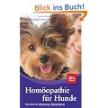 Hom�opathie f�r Hunde: Symptome, Diagnose und Dosierung