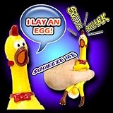 Squawking Chicken  n  Egg