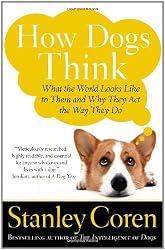 How Dogs Think: What the World Looks Like to Them and Why They Act the Way They Do