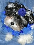 16 Ribbon Dog Collars, 1 Rainbow and 1 Blue with 4 Hair Clips