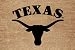 Texas Flocked Door Mat