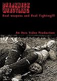 Breakneck Fighting
