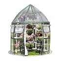Flower House FHCV900 Conservatory Clear Greenhouse