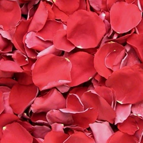 Biodegradable Freeze Dried Rose Petals in Red - 8 Cups