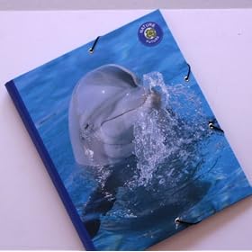 Exacompta Wildlife - trieur 9 cases