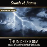 Thunderstorm (Nature Sounds)