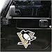 Pittsburgh Penguins Team Logo Car Magnet