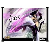 Super Street Fighter IV 4 Juri Videogame Wall Scroll Fabric Poster - 42