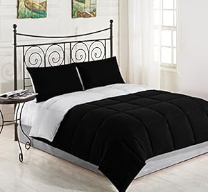 Cozy Beddings Lightweight Reversible Down Alternative Summer Comforter Set, Full/Queen, Black/White