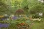 Practical Horticulture: A Guide to Growing Indoor and Outdoor Plants