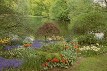 Practical Horticulture: A Guide to Growing Indoor and Outdoor Plants