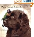 New-Found-Friends