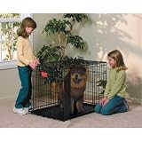Midwest Life Stages Double-Door Folding Metal Dog Crate, 36 Inches by 24 Inches by 27 Inches