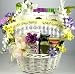Island Breeze, Tropical Gift Basket