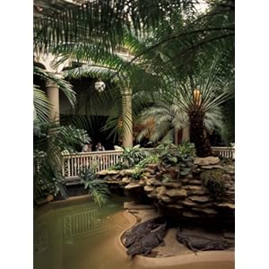 kitchen stores in st louis mo on Com Reptile House At Forest Park St Louis Zoo St Louis Missouri
