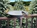20 in. EZ Deck Tilt & Clean Non-Heated