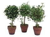 Set of 3 Garden Getaway Bamboo, Boxwood & Mini Ivy Silk Ball Topiaries 14"