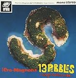 13 PEBBLES～Single Collection～