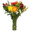 Mixed Fresh Cut Flower Bouquet - 25 Stems - 9 Kinds of Flowers