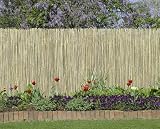 Bamboo Fence Split 51aYC1qGQCL. SL160 Bamboo Fence Split