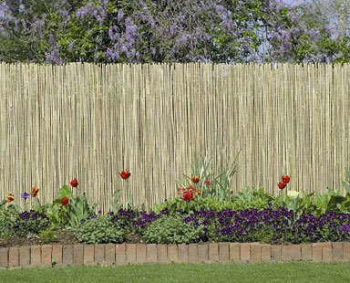 Bamboo Fence- Split
