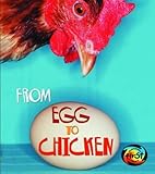 From egg to chicken